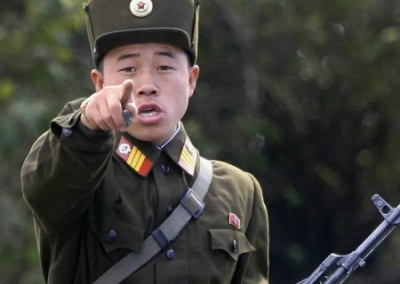 Хинштейн надеется, что Северная Корея поможет разминировать и восстановить Курскую область