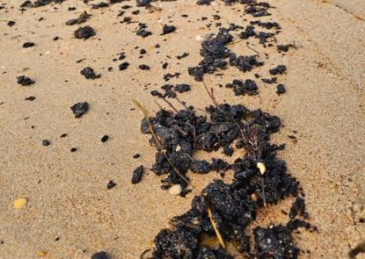 Анапу вновь ожидает мазутный удар