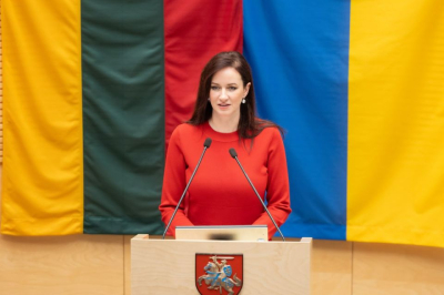 Премьер-министр Литвы: Мы готовы сбивать российские самолеты, но нужно понимать последствия