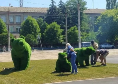 «Происходит уничтожение зелёной зоны города»: жители Луганска жалуются на массовую вырубку деревьев