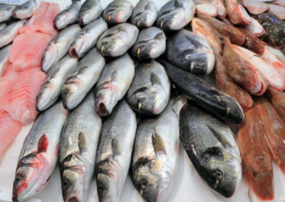 Путин заметил, что россияне едят мало рыбы