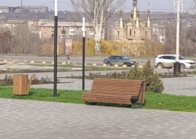 Бездомные собаки нападают на людей в Луганске и Алчевске. Как реагируют власти ЛНР?