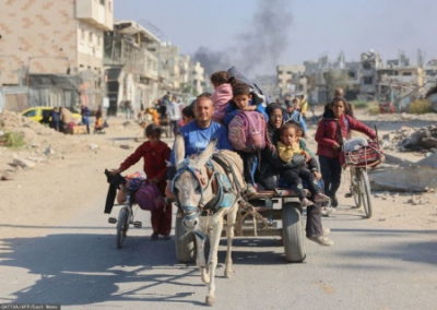 Ослы из Газы долетели до немецких клиник. Дети нет