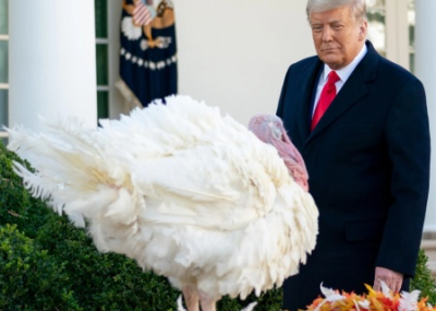 Зеленский готов встретиться с Трампом в День благодарения — 27 ноября