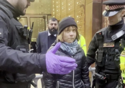 В Лондоне взяли под арест Грету Тунберг за поддержку Палестины