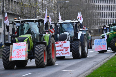 «Прекрасное решение Урсулы» собрало тысячи фермеров из 27 стран ЕС на акцию протеста в Брюсселе