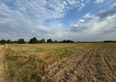 Закон о множественном гражданстве повышает риски конфискации земельных участков и огородов у украинцев