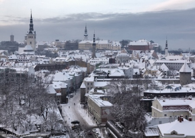 «Задавим как паровым катком»: в Москве ответили на угрозы Эстонии «перенести войну» в Россию