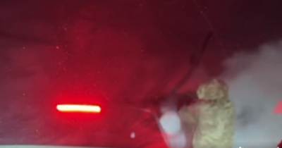 «А надо бы монтажной пеной». В Одесской области граждане задули сотрудников ТЦК огнетушителем