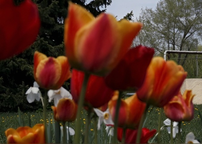 Декоммунизация не дошла: 8 марта на Украине остаётся государственным праздником